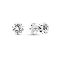 Orecchini Pandora Donna Pandora Moments in Argento Zirconia 290023C01 - 290023C01